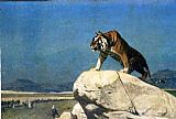 Tiger On The Watch Ii